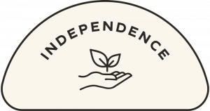 Icon independance